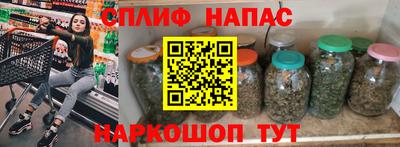 МДПВ Можга
