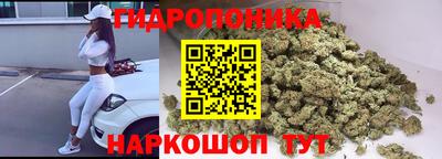 МДПВ Можга